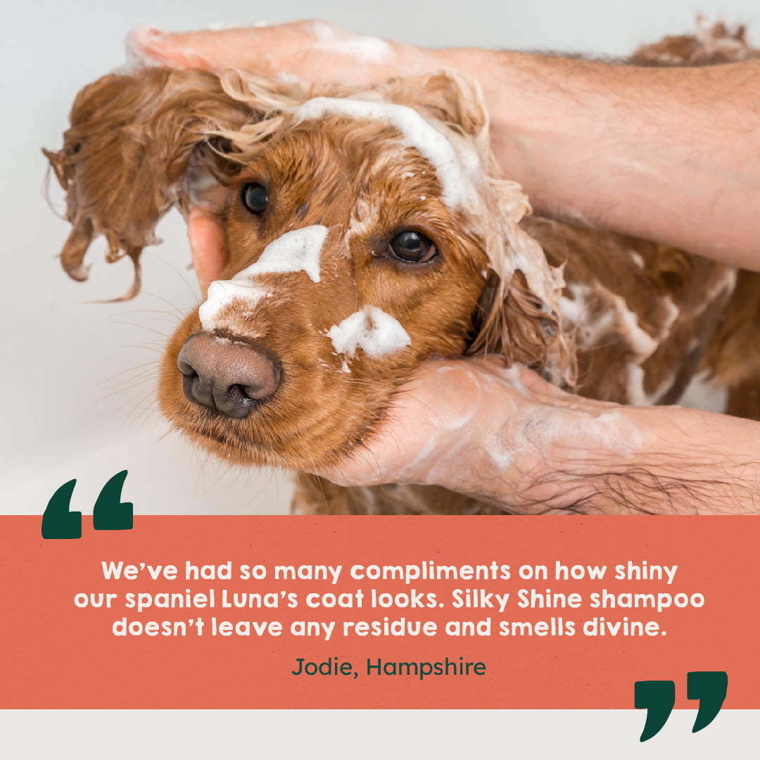 Silky Shine