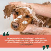 Silky Shine